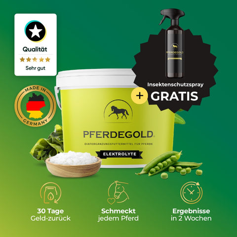Pferdegold® Elektrolyte + gratis Insektenschutzspray Eimer für Pferde, mit Piktogrammen und deutschen Qualitätsetiketten, sorgt für beste Elektrolytversorgung auf grünem Grund.