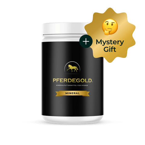 Pferdegold Mineral Tube + Mysterie Geschenkbehälter für Nahrungsergänzungsmittel mit einem Emoji mit Sternschnuppe und denkendem Gesicht.