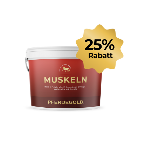 Pferdegold® Muskeln 2.0 in einer roten Wanne mit einer 25% Rabatt Goldplakette - perfekt für den Pferde Muskelaufbau und die Versorgung Ihres Pferdes mit hochwertigem Pferdefutter.