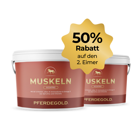 Zwei rote Pferdegold® Muskeln 2.0 sojafrei Eimer mit pflanzlichen Proteinen, dazu ein goldener Stern mit 50% Rabatt auf den 2. Eimer-ideal für Muskelaufbau und mehr Ausdauer.
