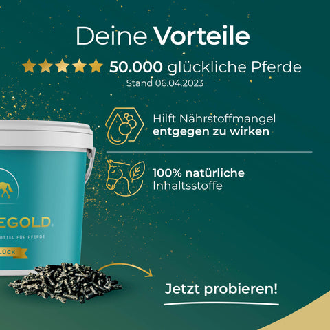 Die grüne Anzeige für Pferdegold Atemglück zeigt einen Eimer, Pellets, Sterne und einen Text, der die Vorteile für 50.000 glückliche Pferde hervorhebt. Entdecken Sie dieses bewährte Atemergänzungsmittel für Pferde von Pferdegold!.
