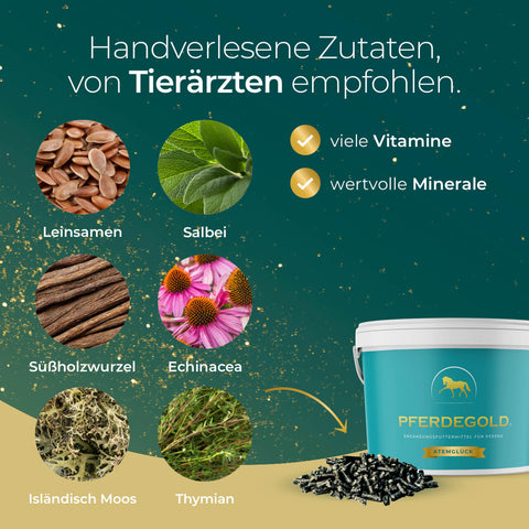 Die Abbildung zeigt Pferdegold® Atemglück, ein Atemergänzungsmittel für Pferde mit handverlesenen Zutaten wie Leinsamen, Salbei, Süßholz, Echinacea, Moos und Thymian zur Unterstützung des Wohlbefindens Ihres Pferdes.