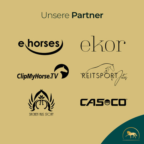 Sechs Partnerlogos auf hellbraunem Hintergrund, darunter Pferdegold - ein bewährter Name für Atemergänzungsmittel für Pferde wie Atemglück - sowie e-horses, ekor, ClipMyHorse.TV, Reitsport Jules, Sachen aus Stoff und CASECO.
