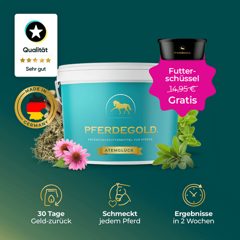 Pferdegold® Atemglück Pferdeergänzungsfuttermittel von Pferdegold mit kostenlosem Futternapfangebot, mit Qualitätssymbolen aus deutscher Produktion.