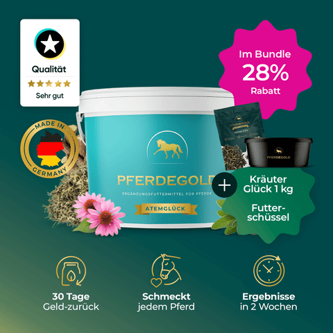 Abbildung zeigt Pferdegold Atemstark Winter-Bundle mit 28% Rabatt, deutschem Qualitätssiegel, Bündelübersicht sowie Müsli Kräuterglück für extra Omega-3-Fettsäuren und Antioxidantien.