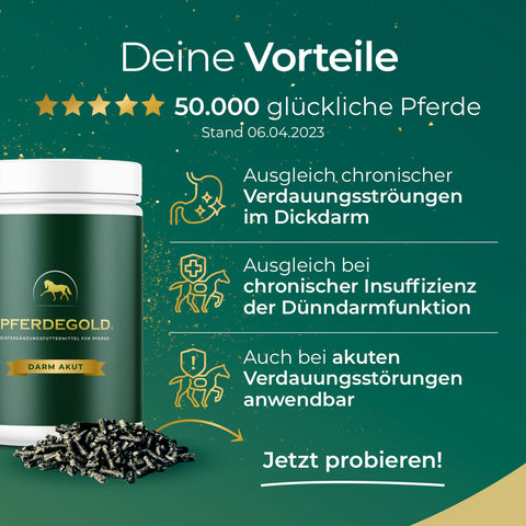 Pferdegold® Darm Akut Doppelpack 30% grün wirbt mit der Unterstützung der Verdauung, 50.000 glücklichen Pferden, den wichtigsten Anwendungsgebieten und einer Top-Bewertung für die Erhaltung eines gesunden Darms.