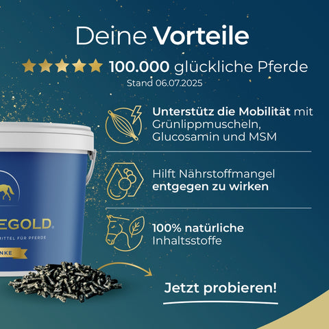 Infografik zu Pferdegold® Senioren Spezial - Gelenke, Mineral, Stoffwechsel: Vorteile, Sternebewertung, 100.000 glückliche Pferde und natürliche Inhaltsstoffe.