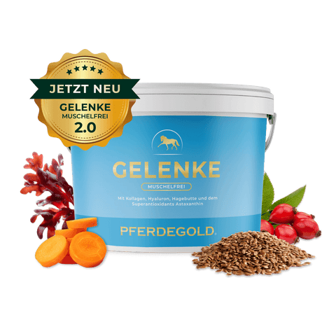 Die blaue Pferdegold Gelenke Muschelfrei 2.0 Wanne enthält Karotten, Leinsamen, Hagebutten und eine grüne NEW-Plakette - perfekt zur Unterstützung von Gelenken, Sehnen und Bändern bei Pferden.