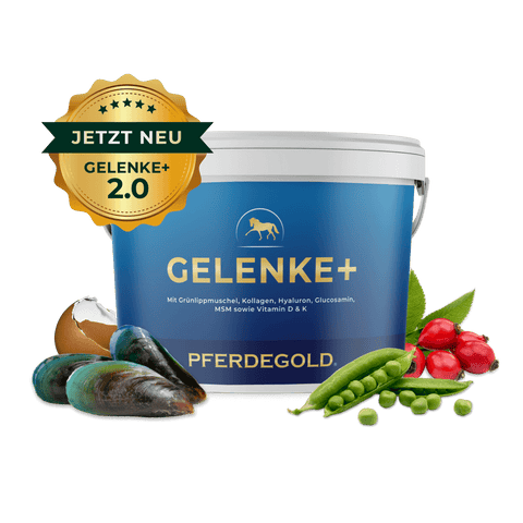 Pferdegold Gelenke+ 2.0 Wanne für Pferde, mit Zutaten wie Muscheln, Erbsen und Hagebutten. Abzeichen: Jetzt Neu GELENKE+ 2.0.