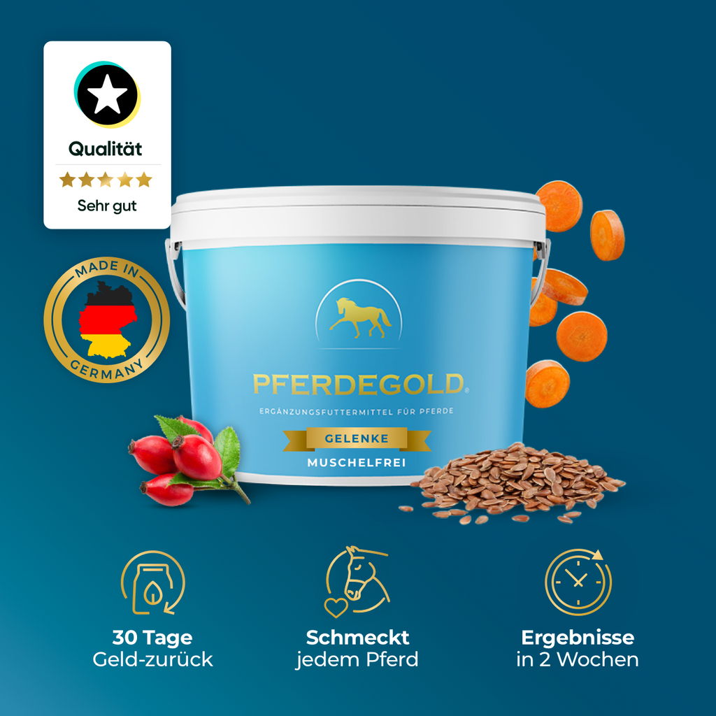 Pferdegold® buy Gelenke 1,5kg Eimer NEU