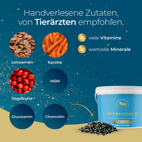 Pferdegold Gelenke Muschelfrei enthält Leinsamen, Karotte, Hagebutte, MSM, Glucosamin, Chondroitin sowie Vitamine und Mineralien - optimal zur Unterstützung der Gelenke und auch für Pferde mit empfindlichem Magen geeignet.