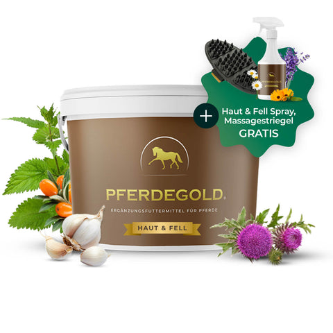 Das Pferdegold® Fellwechsel Bundle Basic (32% Rabatt) enthält eine Pferdeergänzungswanne mit Kräutern, Knoblauch, Beeren, sowie ein kostenloses Spray und eine Massagebürste - ideal für die Pferdepflege und zur Unterstützung gesunder Haut und Fell.