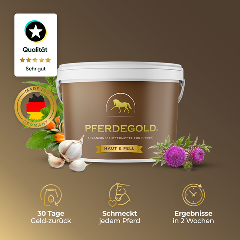 Ein Eimer Pferdegold Haut & Fell mit Kräutern, Symbolen und Produktvorteilen auf braunem Hintergrund - perfekt für die hochwertige Haut- und Fellpflege von Pferden.