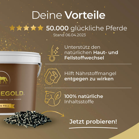 Entdecken Sie Pferdegold Haut & Fell im Eimer als Pellets - das hochwertige Ergänzungsfuttermittel für Pferde mit 5-Sterne-Bewertung auf gelbem Hintergrund.