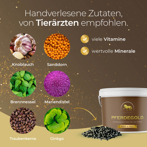 Knoblauch, Sanddorn und Mariendistel - von der Sorte, die für die Hautpflege von Pferden empfohlen wird - sind in der Haut & Fell-Formel von Pferdegold enthalten, die mit ihrem Behälter abgebildet ist.