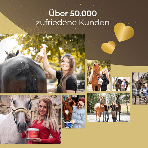 Collage von lächelnden Menschen mit Pferden, die Pferdegold Haut & Fell Produkte halten; Text: "Über 50.000 zufriedene Kunden.