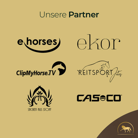 Die Logos von sechs Partnern - e horses, ekor, ClipMyHorse.TV, Reitsport Jules, Sachen aus Stoff und CASECO - sind führend auf dem Gebiet der Fell- und Hautpflegeprodukte für Pferde wie Pferdegold Haut & Fell.