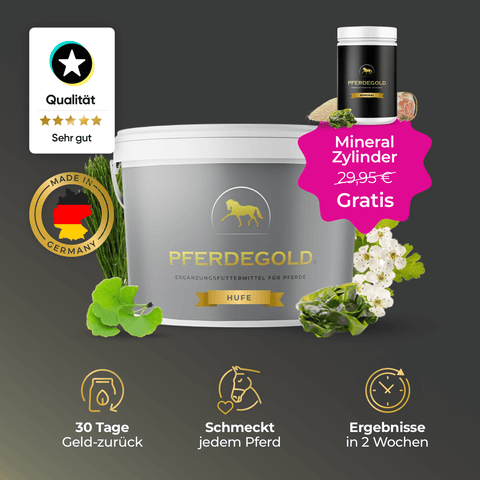 Pferdegold® Hufe + gratis Mineral Zylinder von Pferdegold: Premium-Pferdefutter für optimale Hufpflege, deutsche Qualität, inklusive gratis Mineral Zylinder.