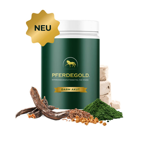 Pferdegold® Darm Akut Doppelpack 30% von Pferdegold kommt in einem grünen Behälter mit goldenem Etikett, umgeben von Kräutern, Samen und einer "NEU"-Plakette - ideal für alle, die ihre Verdauung unterstützen wollen.