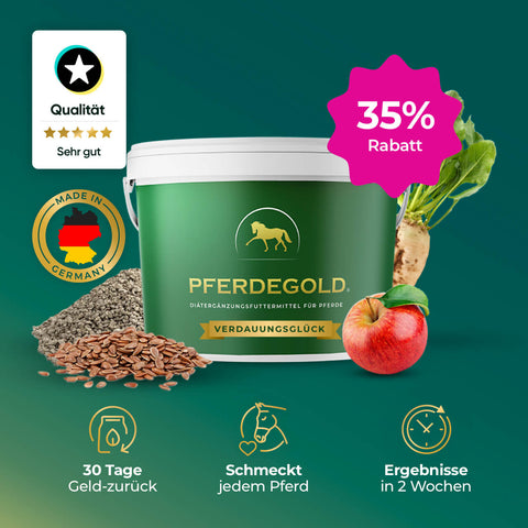 Pferdegold® Verdauungsglück - Doppelpack 35%: Grüner Ergänzungsbecher mit Apfel, Rüben & Kernen; 35% Rabatt auf Marken-, Qualitäts- und Ausstattungssymbole - Hochwertiges Pferdefutter für die Pferde-Magenpflege von Pferdegold.