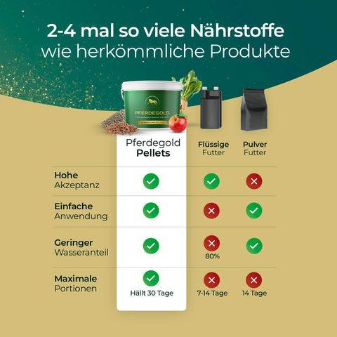 Vergleichstabelle mit den Vorteilen von Pferdegold Verdauungsglück Pellets gegenüber flüssigen und pulverförmigen Ergänzungsfuttermitteln, wobei die Rolle von Pferdegold Verdauungsglück bei der Unterstützung der Verdauung von Pferden und als erstklassiges Magenergänzungsmittel für Pferde hervorgehoben wird.