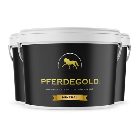 Drei Pferdegold® Mineral 3 für 2 Eimer für Pferde, schwarz mit goldenem Logo und weißen Deckeln, in einer Reihe angeordnet. Premium-Mineralergänzung von Pferdegold zur Unterstützung der Pferdegesundheit.