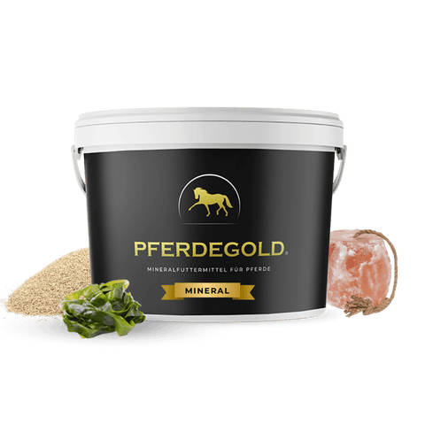 Der Pferdegold® Mineral 25% Rabatt Eimer für Pferde von Pferdegold wird mit verschüttetem Pulver, einem Mineralstein und einer Grünpflanze gezeigt.