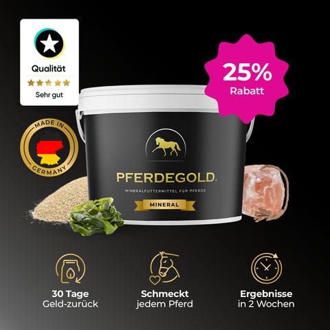 Pferdegold® Mineral 25% Rabatt Mineralfuttereimer von Pferdegold mit den wichtigsten Inhaltsstoffen und Vorteilen auf einem eleganten schwarzen Hintergrund - eine wichtige tägliche Ergänzung für Ihr Pferd.