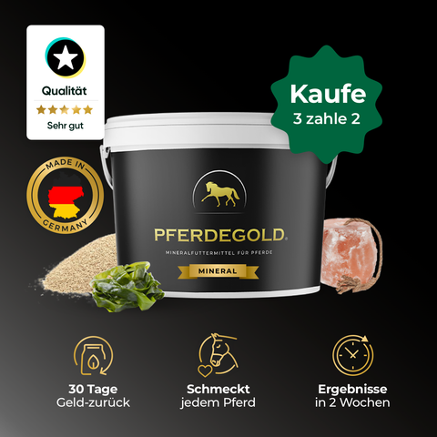 Pferdegold® Mineral 3 für 2: Die schwarze Pferdegold Mineralstoffwanne für Pferde, hervorgehoben durch hochwertige Inhaltsstoffe und Icons. Genießen Sie das Angebot 3 für 2 kaufen - ideal für alle, die hochwertige Pferdemineralien suchen.