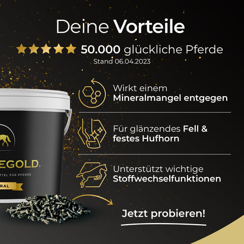 Eimer mit Pferdegold® Mineral 25% Rabatt Pellets mit Piktogrammen und Texten, die den Nutzen für Pferde zeigen: Mineralien, Fell, Hufe und Stoffwechsel - erleben Sie die Kraft von Pferdegold.