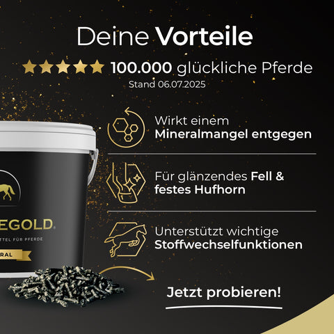Pferdegold® Senioren Spezial - Gelenke, Mineral, Stoffwechsel: Ein Ergänzungsfuttermittel für Pferde zur Unterstützung des Stoffwechsels, der Gelenke, des Mineralhaushalts und der allgemeinen Vitalität.