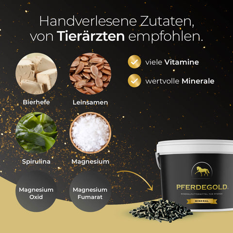 Tierärzte empfehlen Bierhefe, Leinsamen, Spirulina, Magnesium, Mineralien und Vitamine - versuchen Sie Pferdegold® Mineral 25% Rabatt von Pferdegold, um das tägliche Wohlbefinden Ihres Pferdes zu unterstützen.