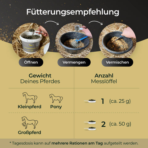 Anleitungsgrafik mit Schritten zur Vorbereitung des Pferdefutters und Schaufelmengen für kleine und große Pferde oder Ponys, mit Anleitung zur Zugabe von Pferdegold® Mineral 25% Rabatt von Pferdegold für eine ausgewogene Ernährung.