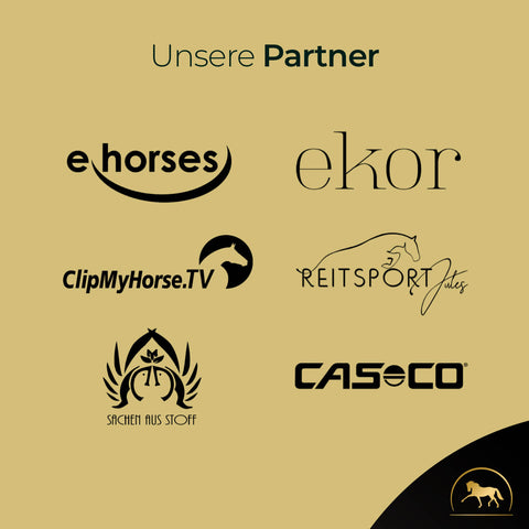 Sechs Partnerlogos, darunter Pferdegold Mineral, sind unter der Überschrift "Unsere Partner" auf goldenem Grund abgebildet.