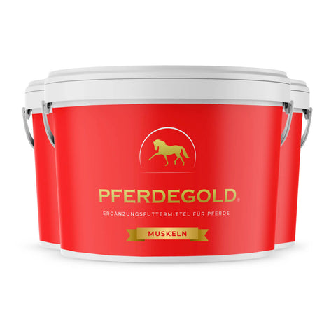 Pferdegold® Muskeln 3 für 2