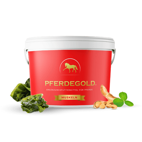 Eine rote Pferdegold Muskeln Pferdeergänzungswanne mit Kräutern und Ingwerwurzeln, perfekt für den Muskelaufbau und ein bewährtes Premium Pferdeprodukt.