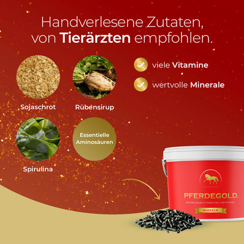 Pferdegold® Sport Balance Bundle: Sojamehl, Rübensirup, Spirulina, Mineralien und Vitamine - tierärztlich empfohlen zur Optimierung der Magnesiumversorgung und zur Unterstützung der Ausdauer von Pferden.
