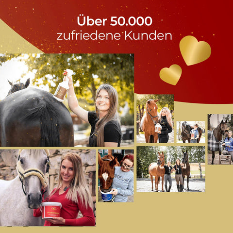 Collage von glücklichen Menschen mit sportlichen Pferden und Pferdegold®-Pflege, Text: Über 50.000 zufriedene Kunden. 2x Muskeln + Müsli Getreidefrei Bundle - ideal für getreidefreie & pflanzliche Proteinversorgung, jetzt mit 28% Rabatt!.