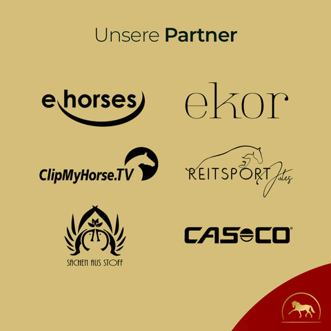 Die Logos von sechs Partnern - e horses, ekor, ClipMyHorse.TV, Reitsport Jules, Sachen aus Stoff und CASECO - werben gemeinsam mit Pferdegold® für das Sport Balance Bundle und teilen die Leidenschaft für Ausdauer und Muskelaufbau im Pferdesport.