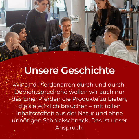 Fünf Personen tauschen sich in einem modernen Büro über das Pferdegold® 2x Muskeln + Müsli Getreidefrei Bundle mit 28% Rabatt aus - ideal für die getreidefreie Ernährung sportlicher Pferde mit pflanzlichen Proteinen.