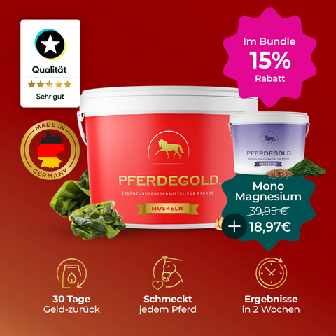 Zwei Pferdegold® Sport Balance Bundle Becher mit Symbolen für Qualität, Rabatt und Nutzen-unterstützende Ausdauer und Magnesiumversorgung auf rosa Hintergrund.