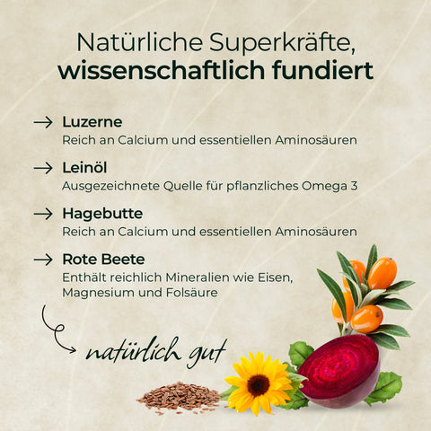 Entdecken Sie Pferdegold® 3 für 2 - Goldmüsli Natur Pur: getreidefrei, reich an Luzern, Leinsamen, Hagebutten und Rote Bete-faserreiche Superfoods für Pferde! Natürlich gut.