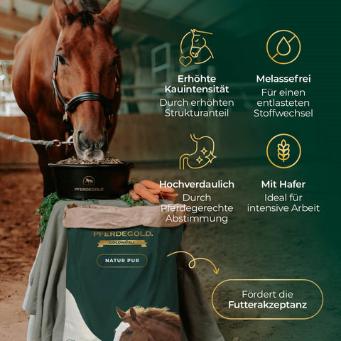 Braunes Pferd frisst aus Eimer; daneben Sack "3 für 2 - Goldmüsli Natur Pur" von Pferdegold® mit Text über die Vorteile des faserreichen, getreidefreien Pferdefutters.