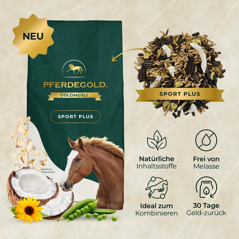 Beutel mit Pferdegold® 3 für 2 - Goldmüsli Sport Plus Pferdefutter, mit einem Pferd, einer Futtermischung und einem deutschen Text, der Energie und Muskelaufbau für mehr Leistung betont.
