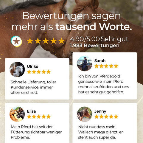 Weide-Glück Bundle