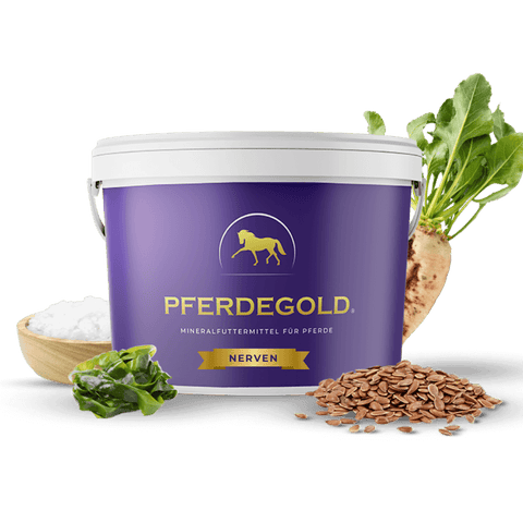 Ein lila Pferdegold-Eimer mit Pferdelogo, umgeben von Leinsamen, Algen, Rüben und weißem Pulver - Pferdegold® Nerven 25% Rabatt ist ein hochwertiges Beruhigungsmittel für Pferde der Marke Pferdegold.