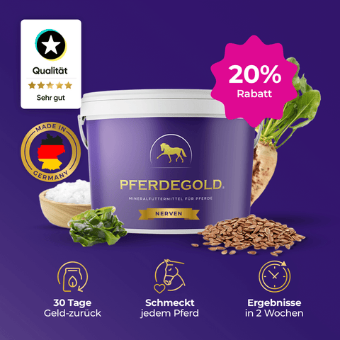 Pferdegold® Nerven 20% Pferdeergänzungsbecher mit Symbolen, Inhaltsstoffen und einem 20%-Rabatt-Etikett in lila - ideal für alle, die hochwertige Pferdegold-Produkte suchen.