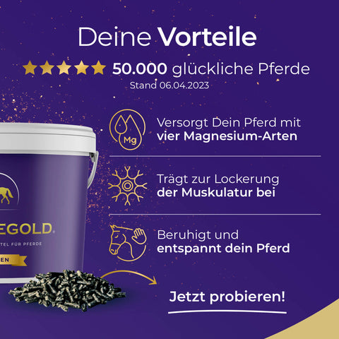Eimer Pferdegold Nerven: unterstützt Muskelentspannung und Gelassenheit mit Magnesium. Bewährt bei 50.000 glücklichen Pferden.