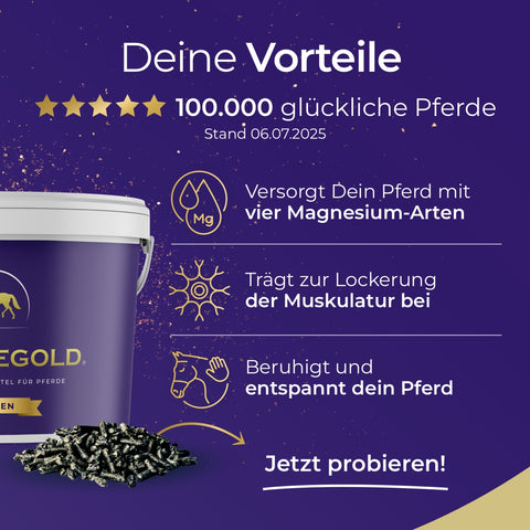 Das Trainingsbundle - Nerven, Gelenke, Mineral, Muskeln von Pferdegold® versorgt Pferde mit wertvollen Mineralstoffen und Vitaminen, darunter vier Magnesium-Arten - ideal für Gesundheit und Leistungsfähigkeit.