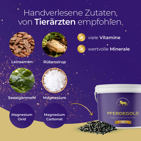 Handverlesene Zutaten wie Leinsamen, Rübensirup und Seealgenmehl machen das Pferdegold® Nerven 3 für 2 von Pferdegold zu einem hochwertigen Beruhigungsfutter für Ihr Pferd.